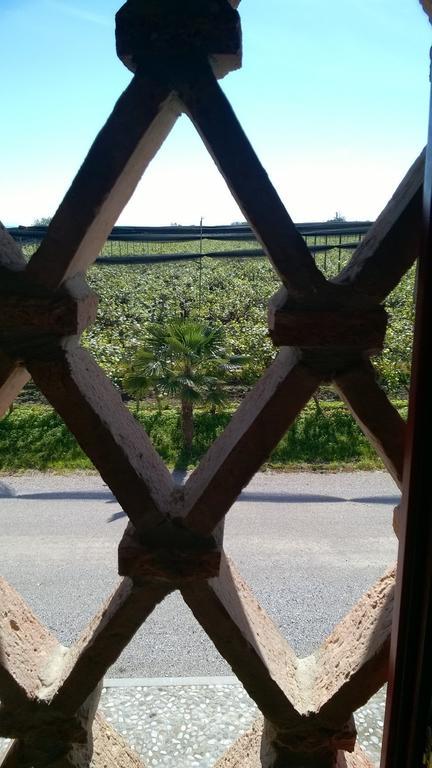 Agriturismo Sant'Egidio Aquiléia Kültér fotó